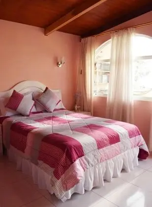 Basic Tek Büyük Yataklı Oda, 2 Çift Kişilik Yatak, Sigara İçilmez