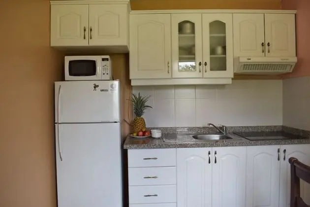 Deluxe Süit, 1 Çift Kişilik Yatak, Sigara İçilmez