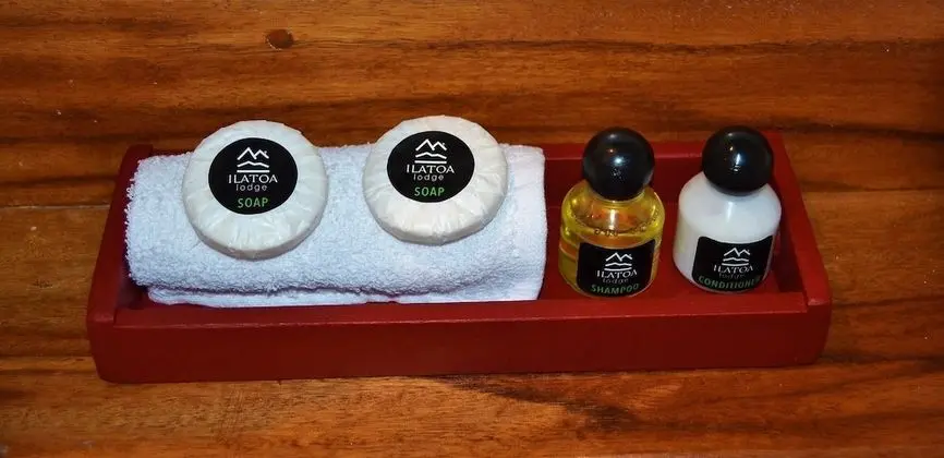 Panoramic Dört Kişilik Oda, Balkon (4)