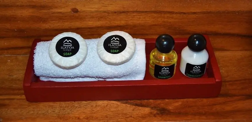 Panoramic Tek Büyük Yataklı Oda, 1 Büyük (Queen) Boy Yatak, Şehir Manzaralı (2)