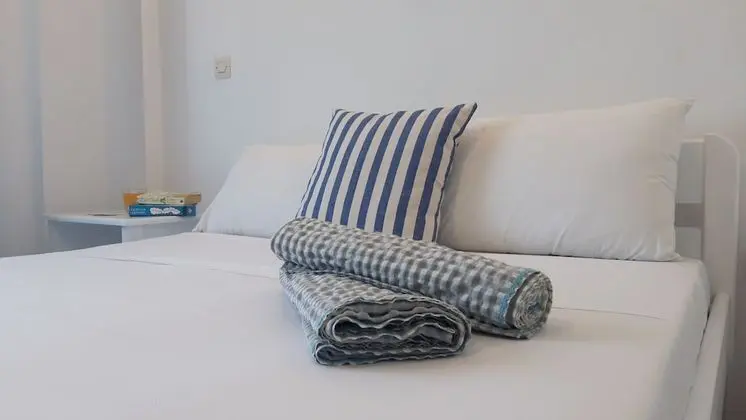 Classic Stüdyo, 1 Çift Kişilik Yatak ve Çekyat, Küçük Mutfak, Executive Katı (2-3 Adults)