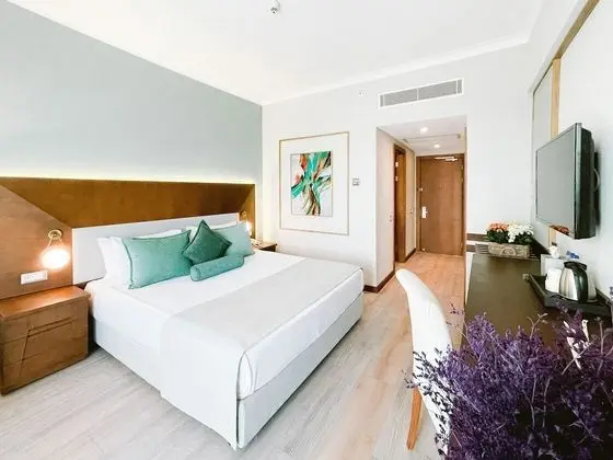 Premium Tek Büyük Yataklı Oda