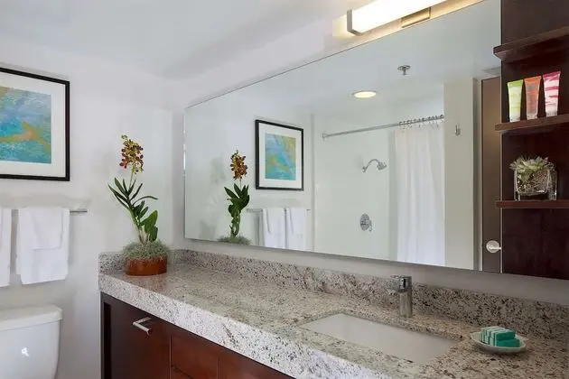 Luxury Oda, Mutfak, Okyanus Manzaralı