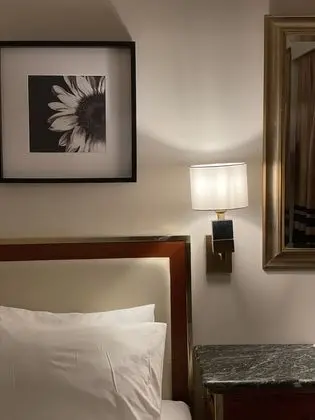 Standard Tek Kişilik Oda, Şehir Manzaralı