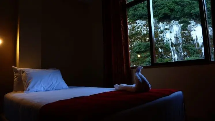 Tek Büyük Yataklı Oda, 1 Çift Kişilik Yatak