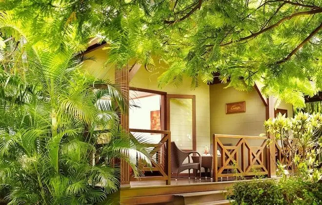 Bungalov (Tropical)