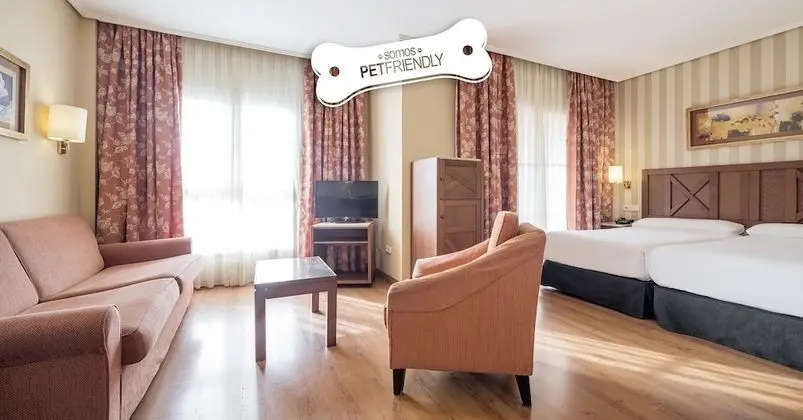Tek Büyük Yataklı Oda (Pet friendly)