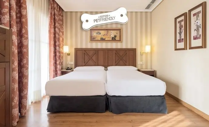Tek Büyük Yataklı Oda (Pet friendly)