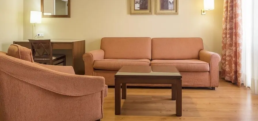 Tek Büyük Yataklı Oda (Pet friendly)