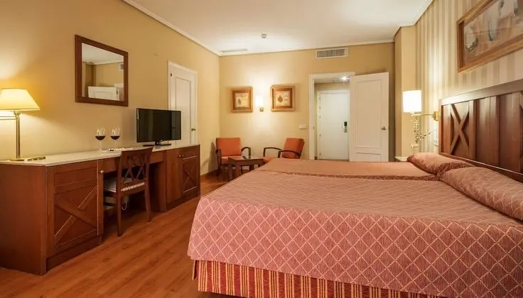 Tek Büyük Yataklı Oda (Pet friendly)