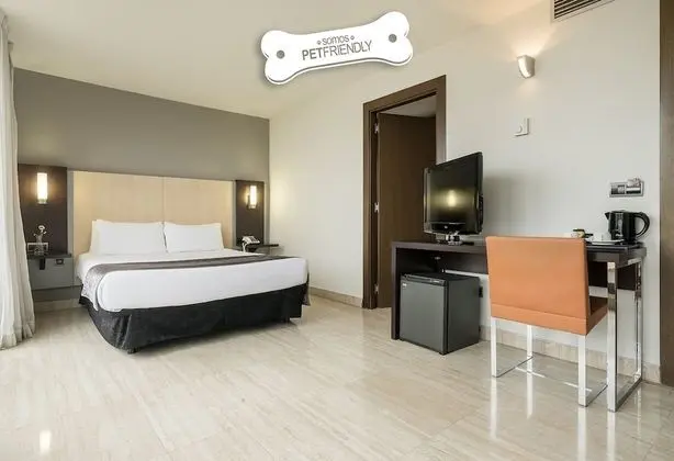 Tek Büyük Yataklı Oda (Pet friendly)