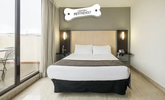 Tek Büyük Yataklı Oda (Pet friendly)