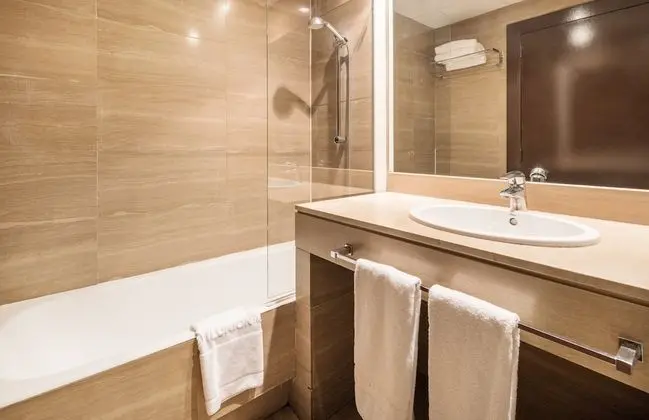 Tek Büyük Yataklı Oda (Pet friendly)