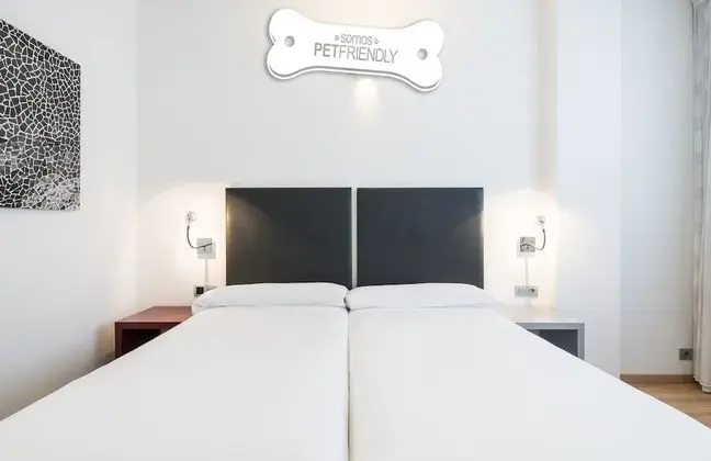 Tek Büyük Yataklı Oda (Pet Friendly)