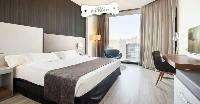 Tek Büyük Yataklı Oda (Pet friendly)