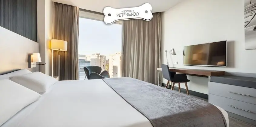 Tek Büyük Yataklı Oda (Pet friendly)