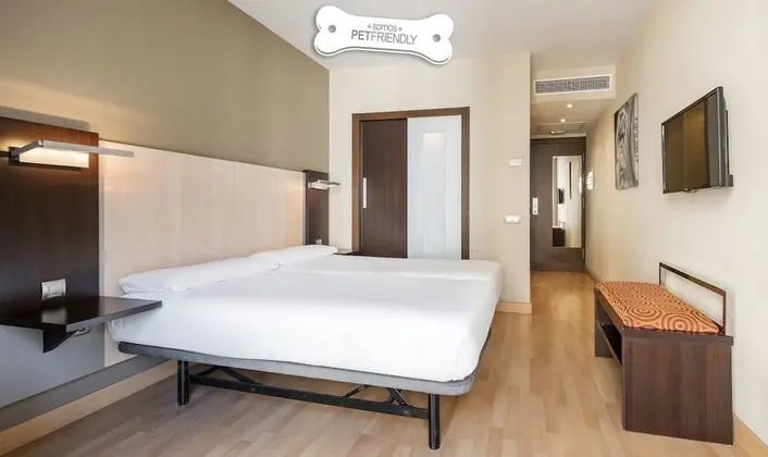 Tek Büyük Yataklı Oda (Pet friendly)