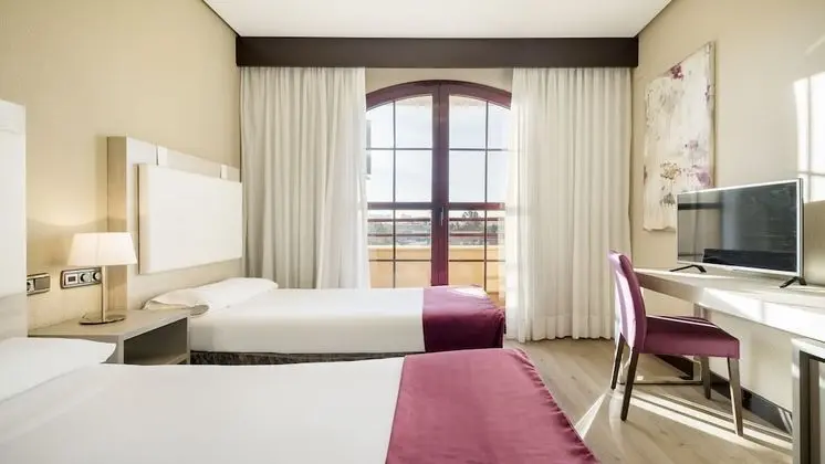 Tek Büyük Yataklı Oda (Pet friendly)