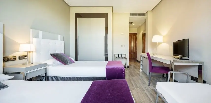 Tek Büyük Yataklı Oda (Pet friendly)
