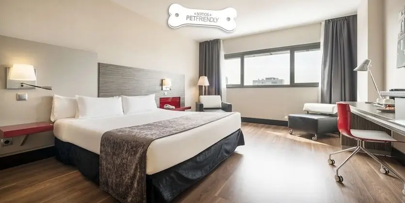 Tek Büyük Yataklı Oda (Pet friendly)