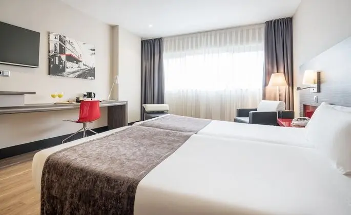 Tek Büyük Yataklı Oda (Pet friendly)