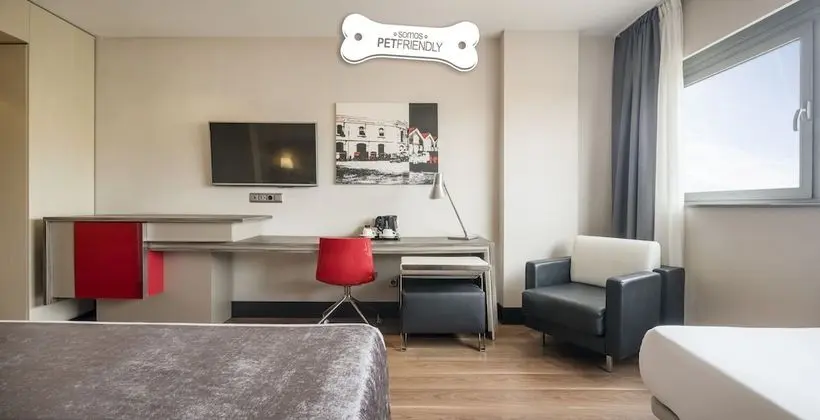 Tek Büyük Yataklı Oda (Pet friendly)