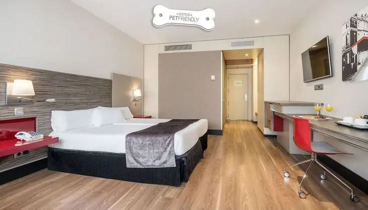 Tek Büyük Yataklı Oda (Pet friendly)