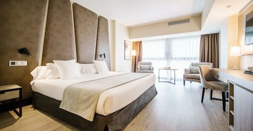 Tek Büyük Yataklı Oda (Pet friendly)