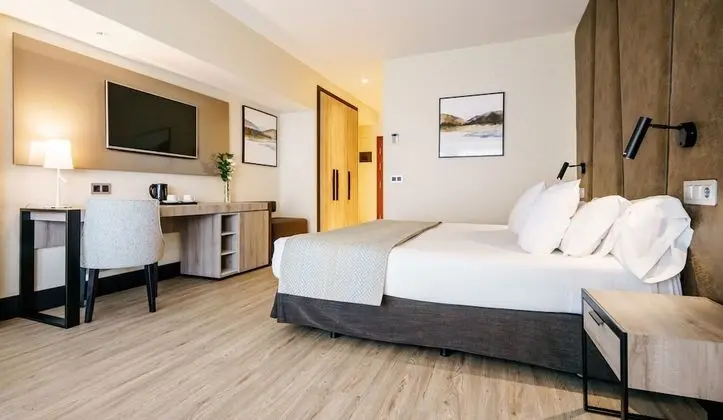 Tek Büyük Yataklı Oda (Pet friendly)