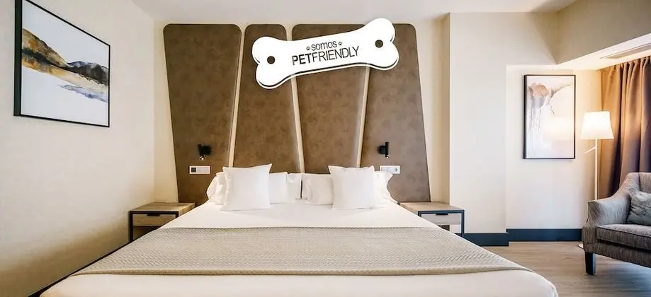 Tek Büyük Yataklı Oda (Pet friendly)