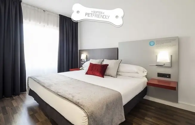 Tek Büyük Yataklı Oda (Pet friendly)