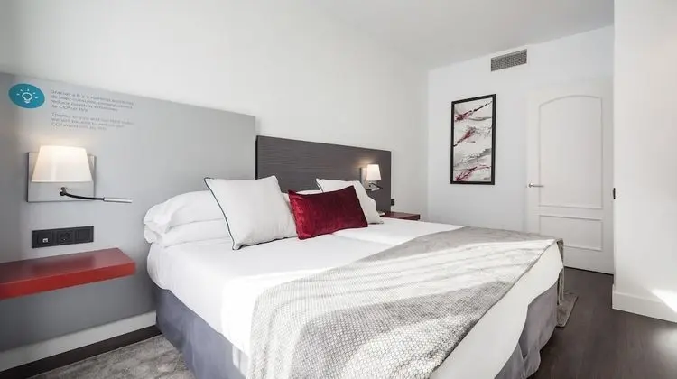 Tek Büyük Yataklı Oda (Pet friendly)