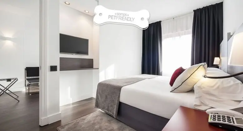 Tek Büyük Yataklı Oda (Pet friendly)