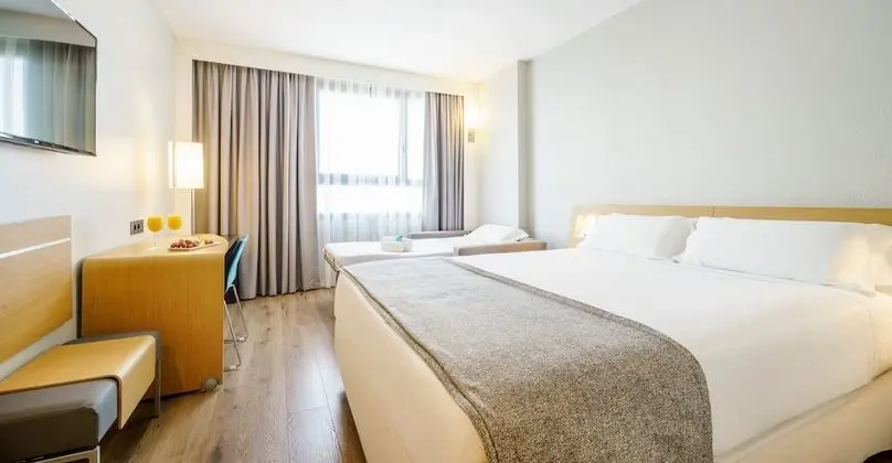 Tek Büyük Yataklı Oda (Pet friendly)