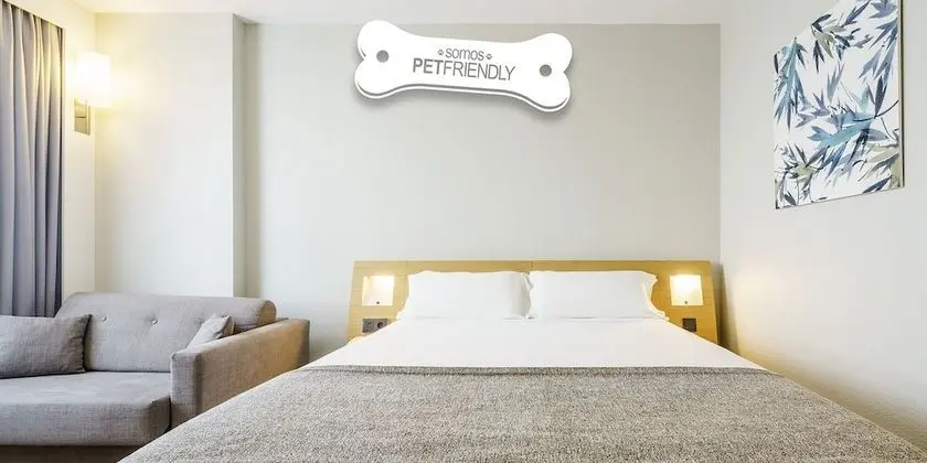 Tek Büyük Yataklı Oda (Pet friendly)