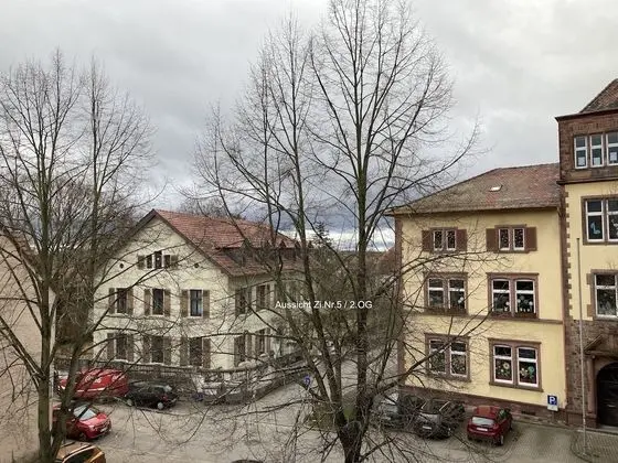 Standard Tek Kişilik Oda, 1 Tek Kişilik Yatak