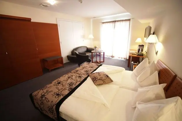 Tek Büyük Yataklı Oda, Balkon, Göl Manzaralı