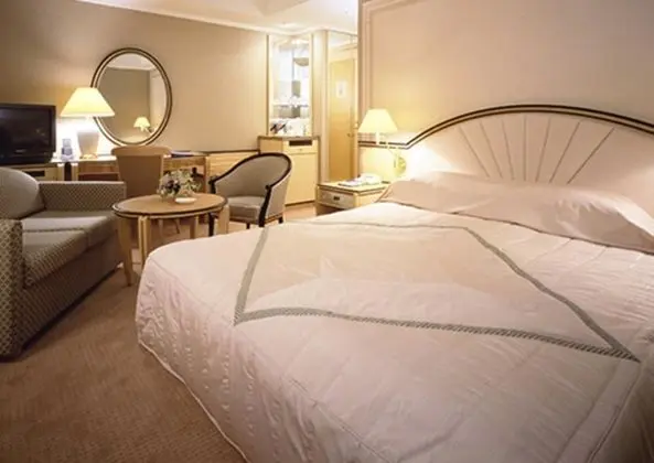 Standard Tek Büyük Yataklı Oda, 1 En Büyük (King) Boy Yatak, Sigara İçilmez (Moderate Double)