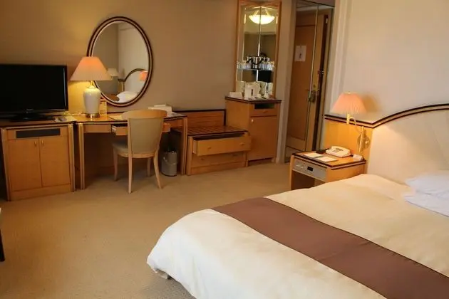 Standard Tek Büyük Yataklı Oda, 1 En Büyük (King) Boy Yatak, Sigara İçilmez (Moderate Double)