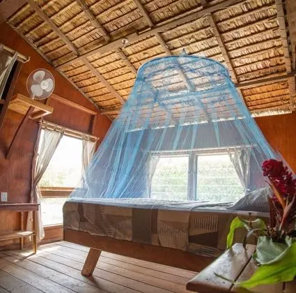 Basic Bungalov, 1 Yatak Odası