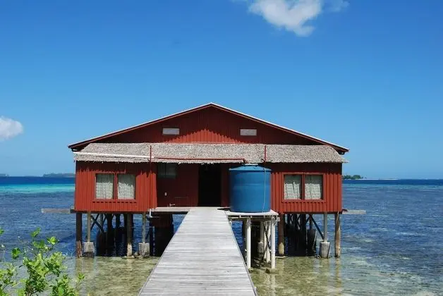 Basic Bungalov, 1 Yatak Odası