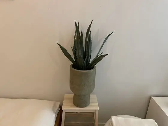 Apart Daire, 1 Büyük (Queen) Boy Yatak