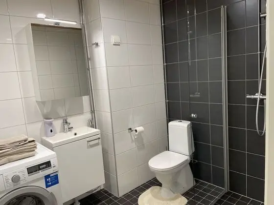 Apart Daire, 1 Büyük (Queen) Boy Yatak