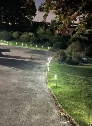 Stüdyo, 1 En Büyük (King) Boy Yatak