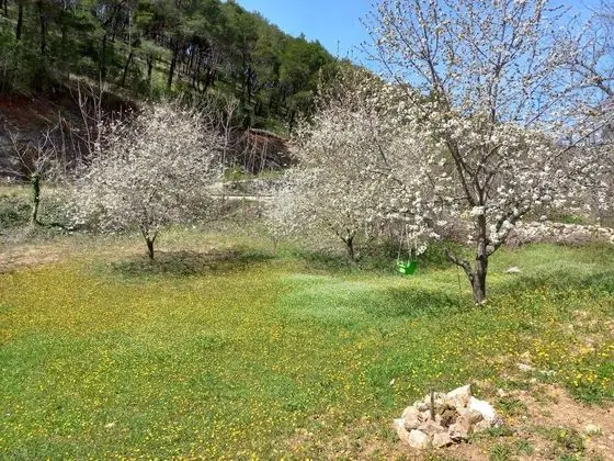 Kır Evi, Birden Çok Yatak
