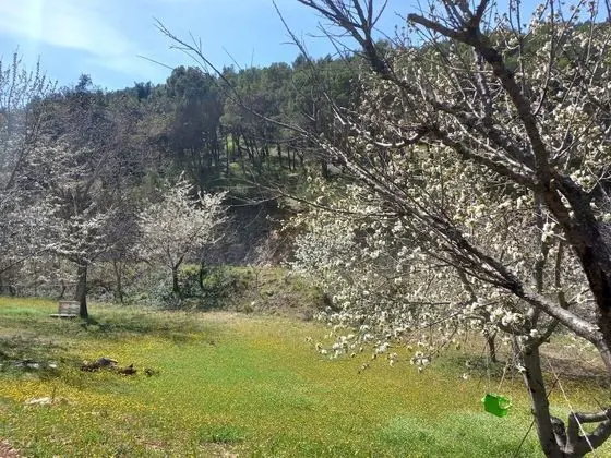 Kır Evi, Birden Çok Yatak