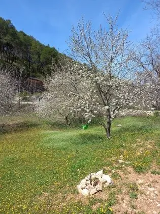Kır Evi, Birden Çok Yatak