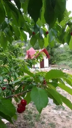 Kır Evi, Birden Çok Yatak