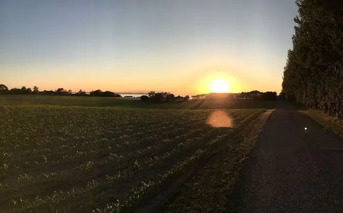 Ev, Birden Çok Yatak