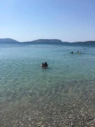 Ev, Birden Çok Yatak